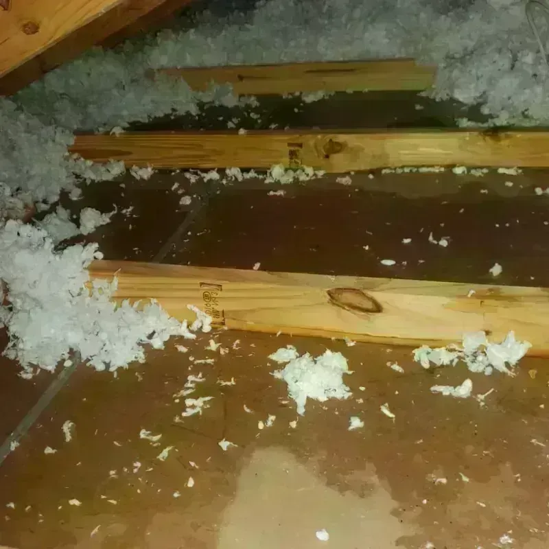 Attic Water Damage in Mebane, NC